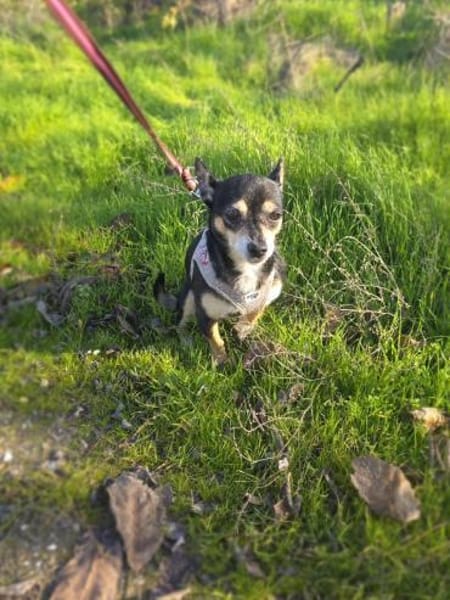 Betty ein kleines Mädchen