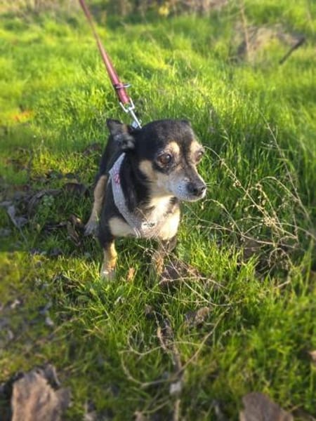 Betty ein kleines Mädchen