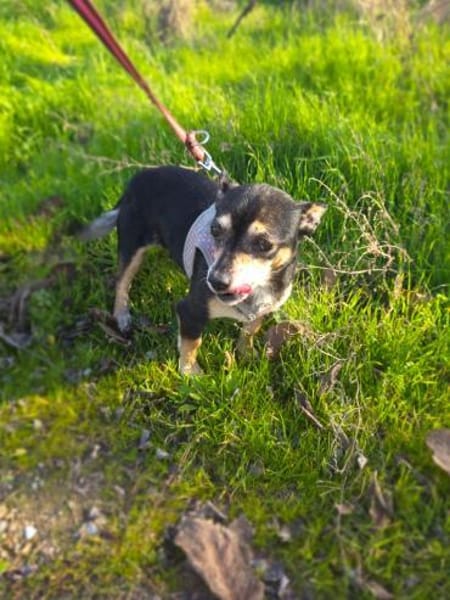 Betty ein kleines Mädchen