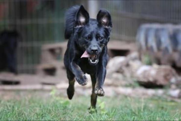 Kaya sucht ihre Familie