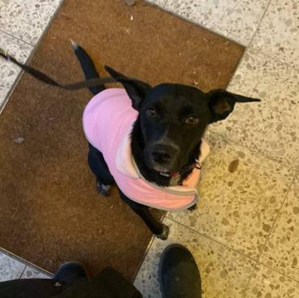 Marie  dein persönlicher Schatten.