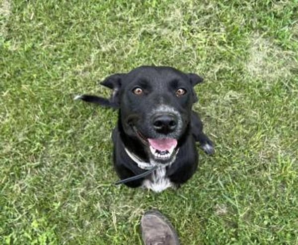 Marie  dein persönlicher Schatten.