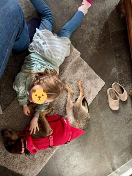 Lilly - freundliche Hündin sucht Familie