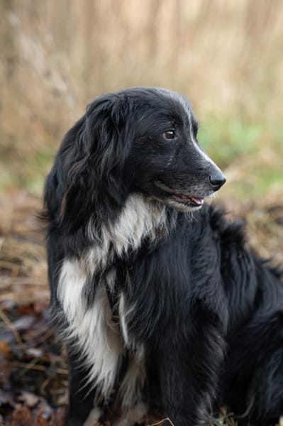 Spielberg will ankommen!