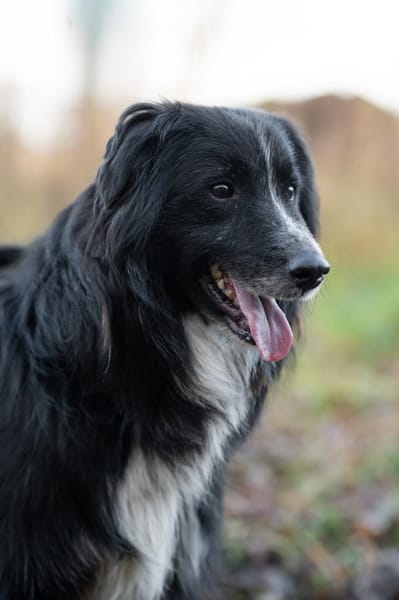 Spielberg will ankommen!