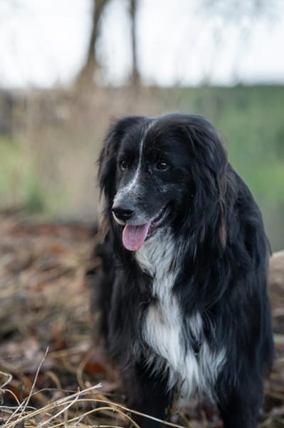 Spielberg will ankommen!