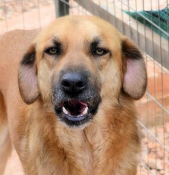 Nicolas R wartet in 91623 Sachsen