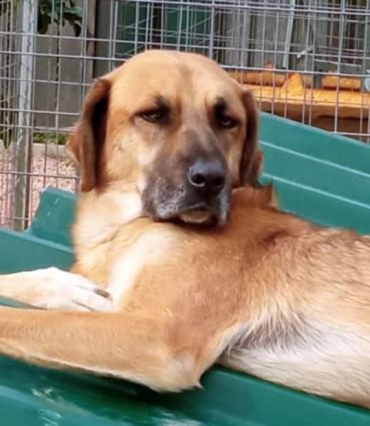 Nicolas R wartet in 91623 Sachsen