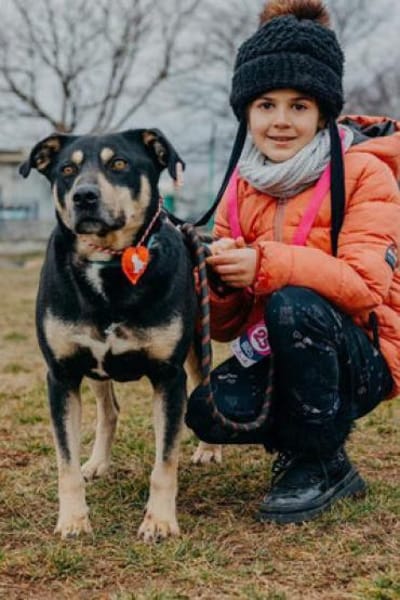 Axel - sanfter Familienhund