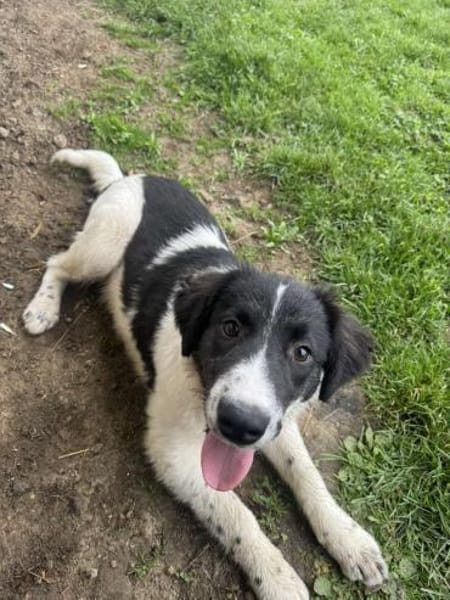 Stark und sensibel- Lucia