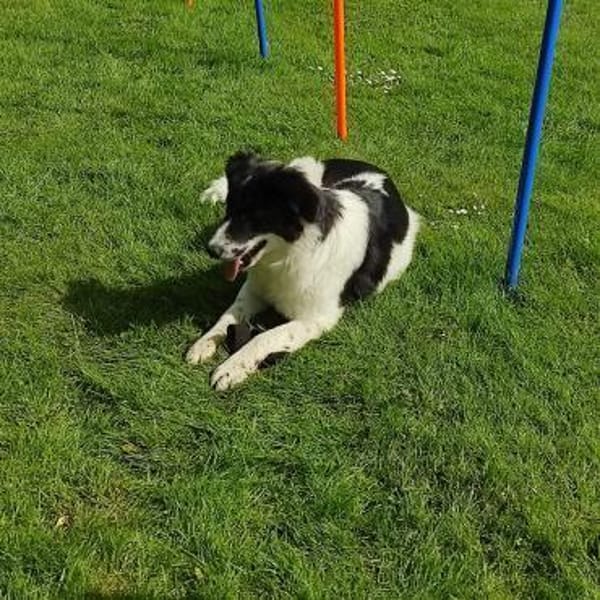 Stark und sensibel- Lucia