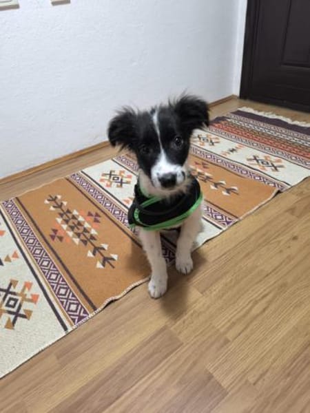 Stark und sensibel- Lucia