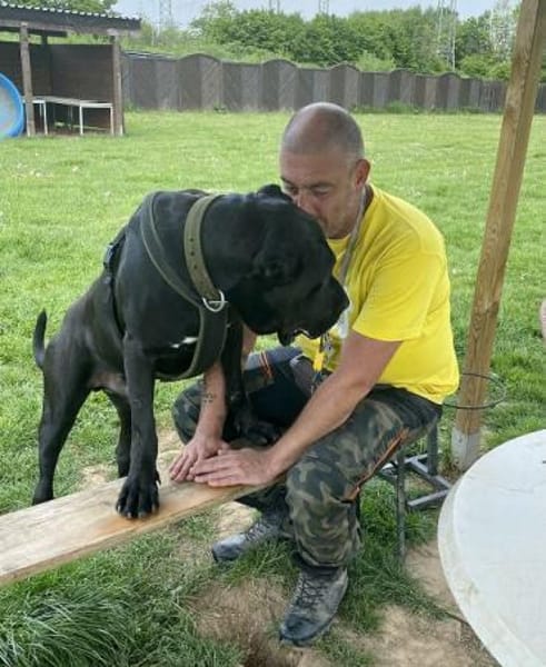 Siggi aka Julio, derzeit in Köln