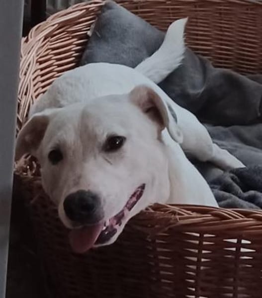 Mimmo aufgeschlossen und neugierig