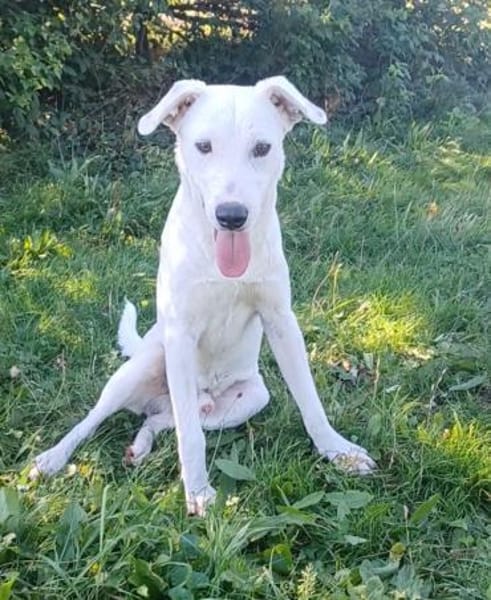 Mimmo aufgeschlossen und neugierig