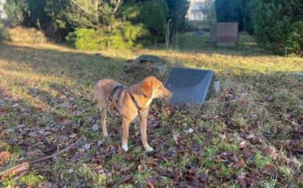 Lolly wartet schon auf dich