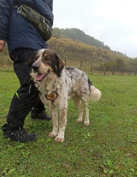 Hingucker Jonte sucht seine Familie