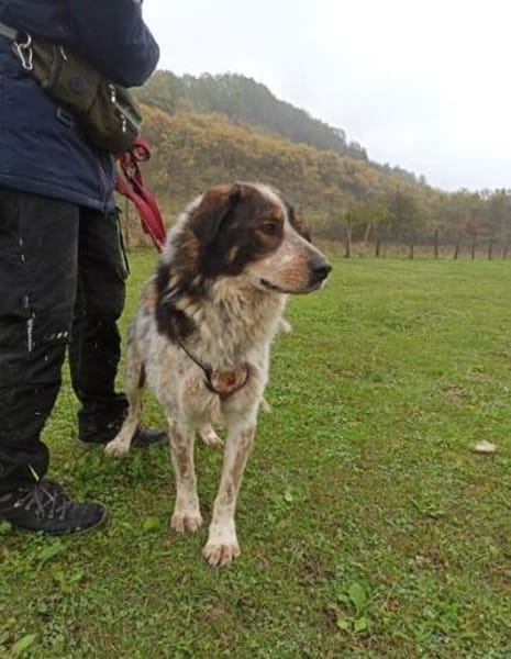 Hingucker Jonte sucht seine Familie