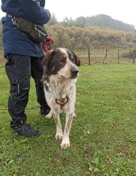 Hingucker Jonte sucht seine Familie