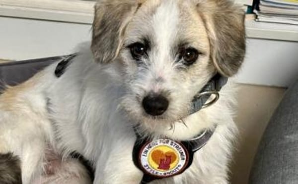 Clyde: Kleiner Kerl mit großem Herz