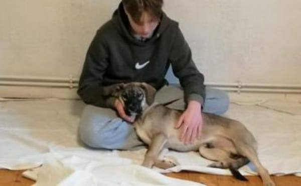 Zuhause gesucht für Clay