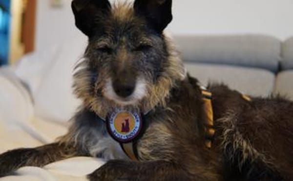 Kämpferin Wanda wartet auf ihre Familie