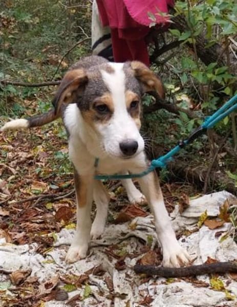 Dario sucht eine tolle Familie