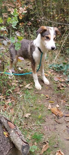 Dario sucht eine tolle Familie