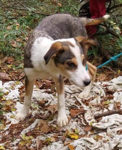 Dario sucht eine tolle Familie