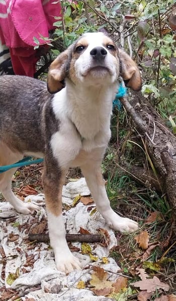 Dario sucht eine tolle Familie