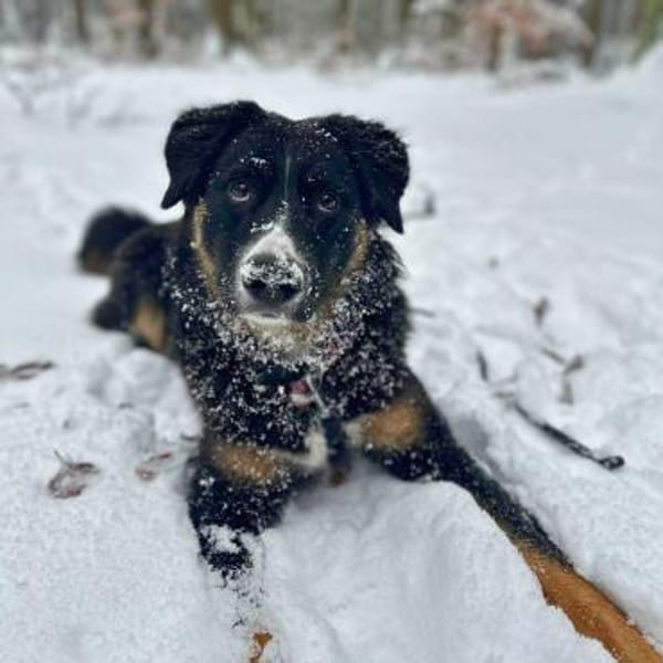 Kiana - ist sehr kooperativ