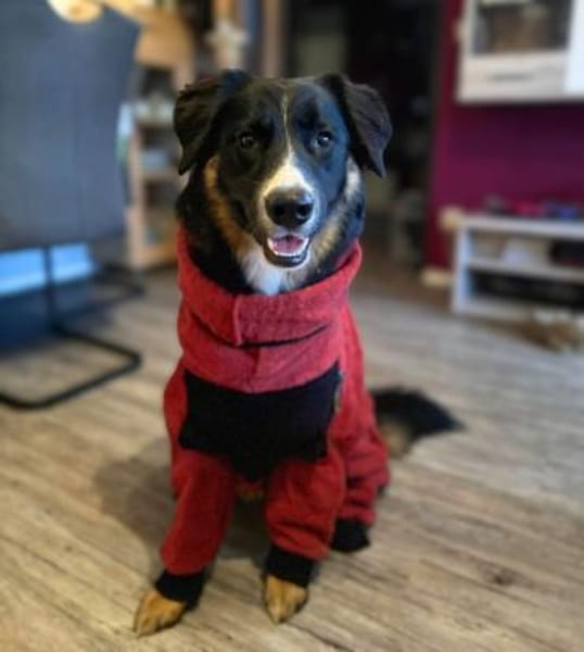 Kiana - ist sehr kooperativ