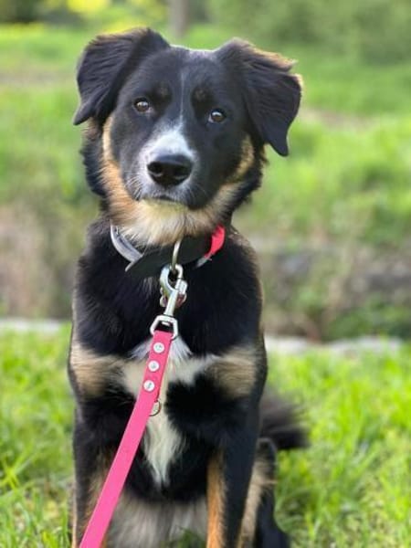 Kiana - ist sehr kooperativ