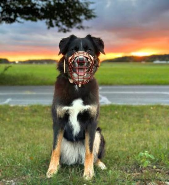 Kiana - ist sehr kooperativ