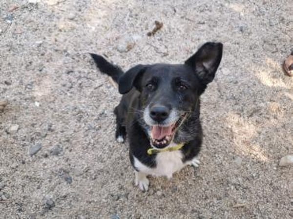 Julia - liebt die Menschen