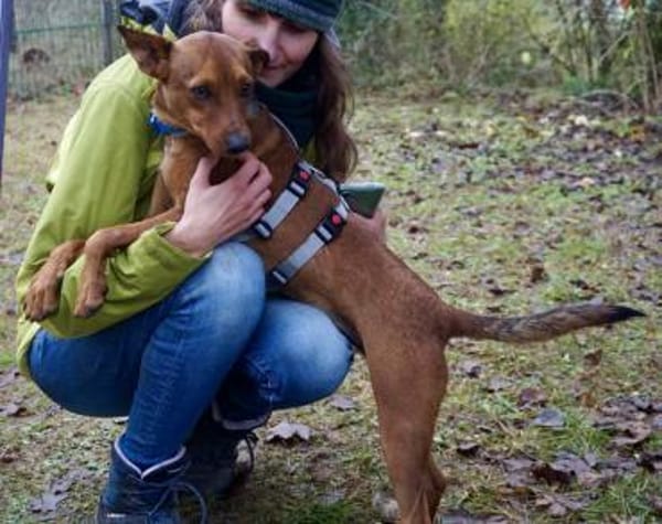 Ilia Topuria,freundlich,offen,kinderlieb