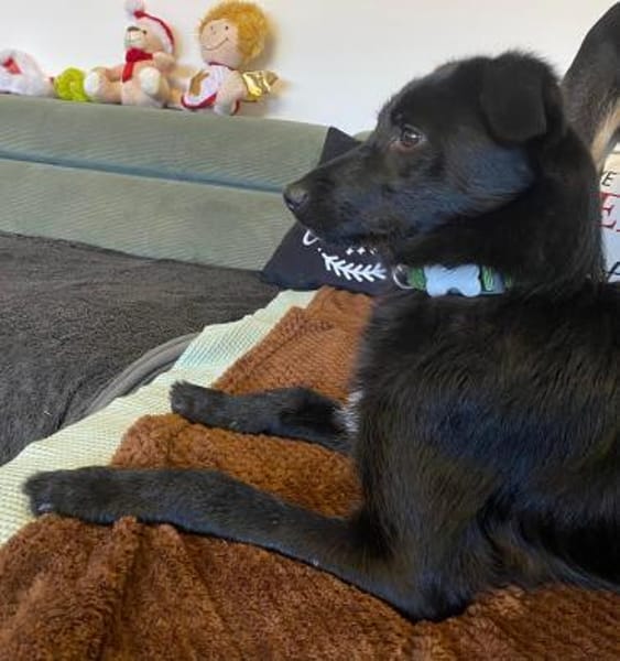 Kiki  zarte kleine Seele