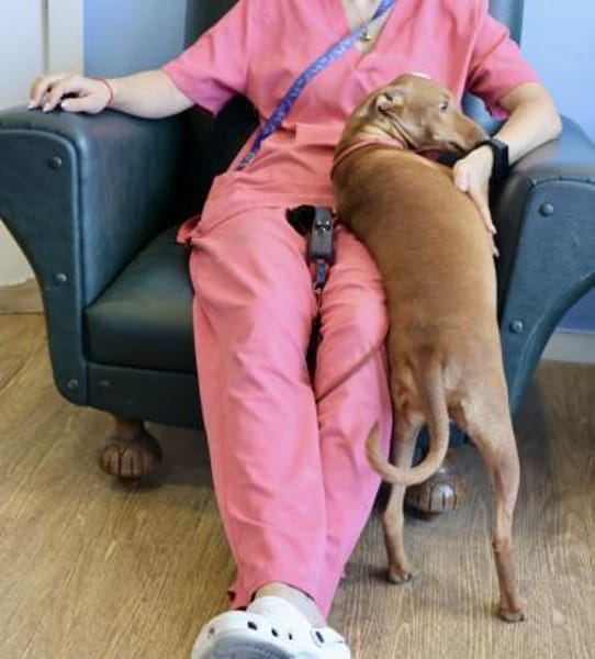 Florinda, offen, freundlich, agil