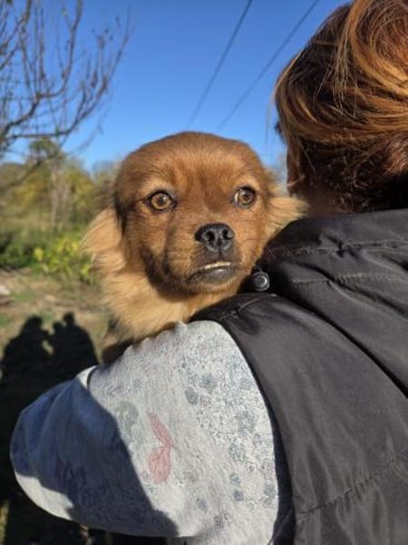 💕Gwen💕sucht ein schönes Zuhause❤