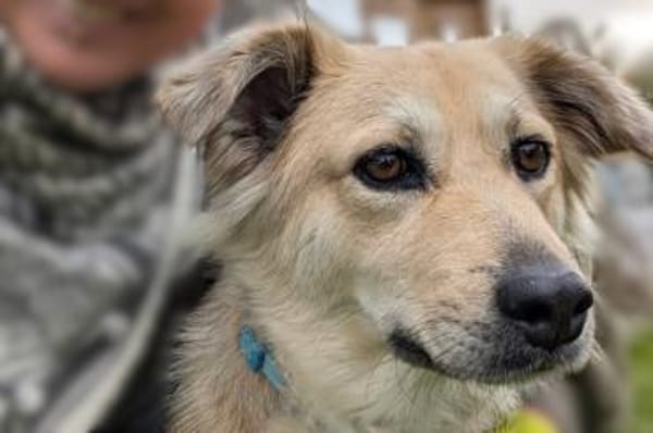 LunaLernwillig und mit viel Potential