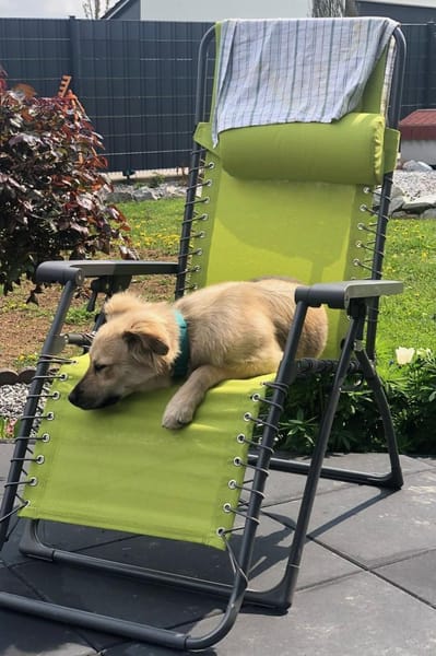 LunaLernwillig und mit viel Potential