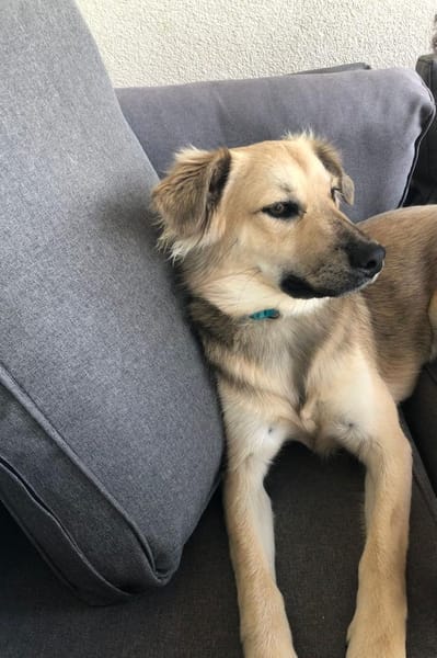 LunaLernwillig und mit viel Potential