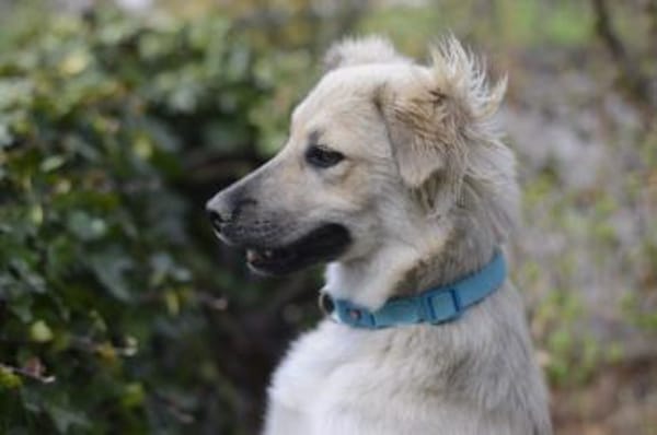 LunaLernwillig und mit viel Potential