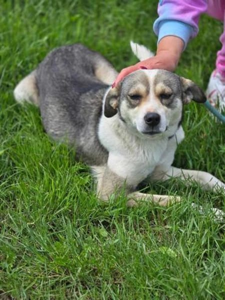 BRINA = Schatz auf vier 🐾🐾 ♥