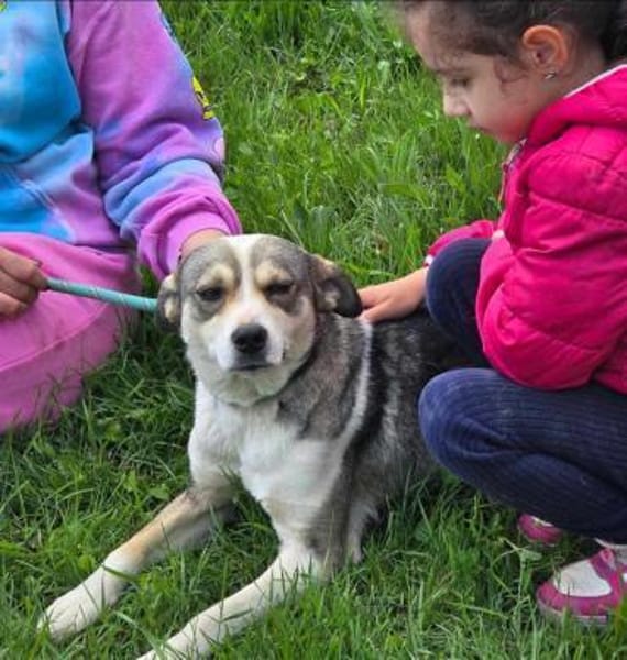 BRINA = Schatz auf vier 🐾🐾 ♥