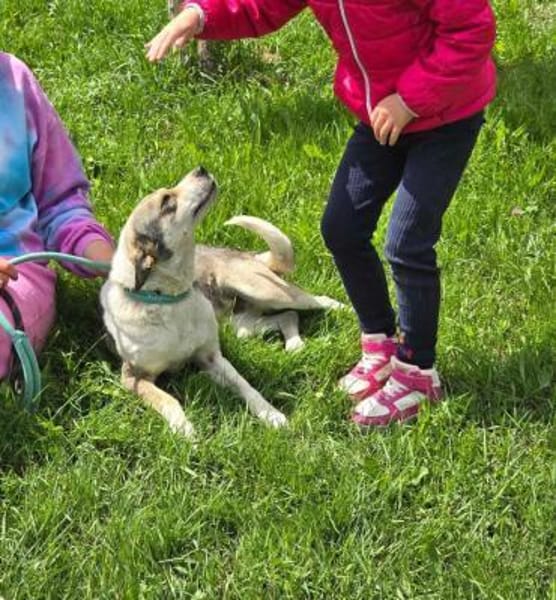 BRINA = Schatz auf vier 🐾🐾 ♥