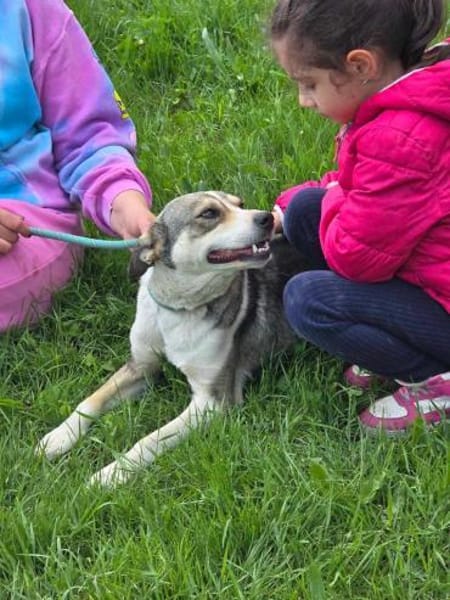 BRINA = Schatz auf vier 🐾🐾 ♥