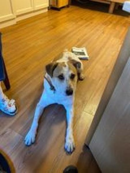 bekommt Kalle noch eine Chance??