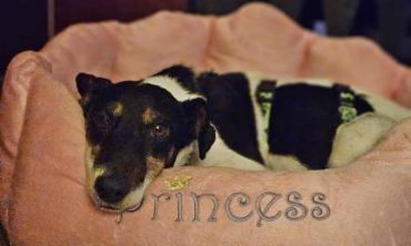 Marcella ist sportlich und schlau