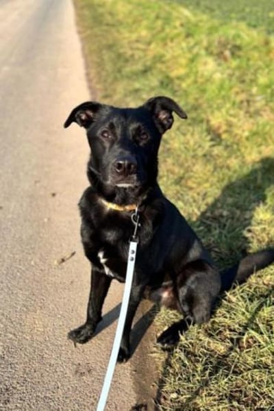 FIETE sucht ein neues Zuhause